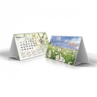 Pastatomas kalendorius Timer Tent 2026